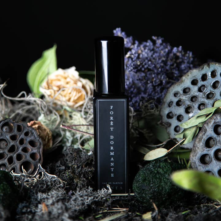 Lvnea Perfume - Wholesale Perfume/Eau de Toilette - FORÊT DORMANTE 30ml Eau de Parfum | Piñon, lavender, cypress0