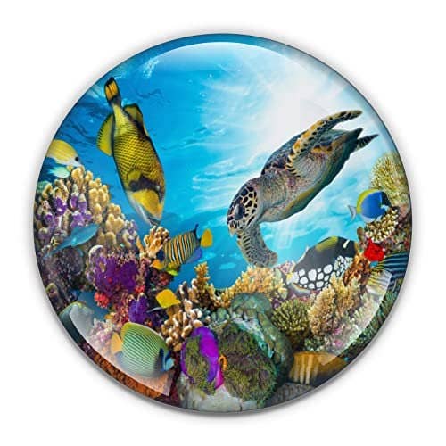 Great Barrier Reef Briefbeschwerer in Geschenkbox für den Großhandel von City Souvenirs