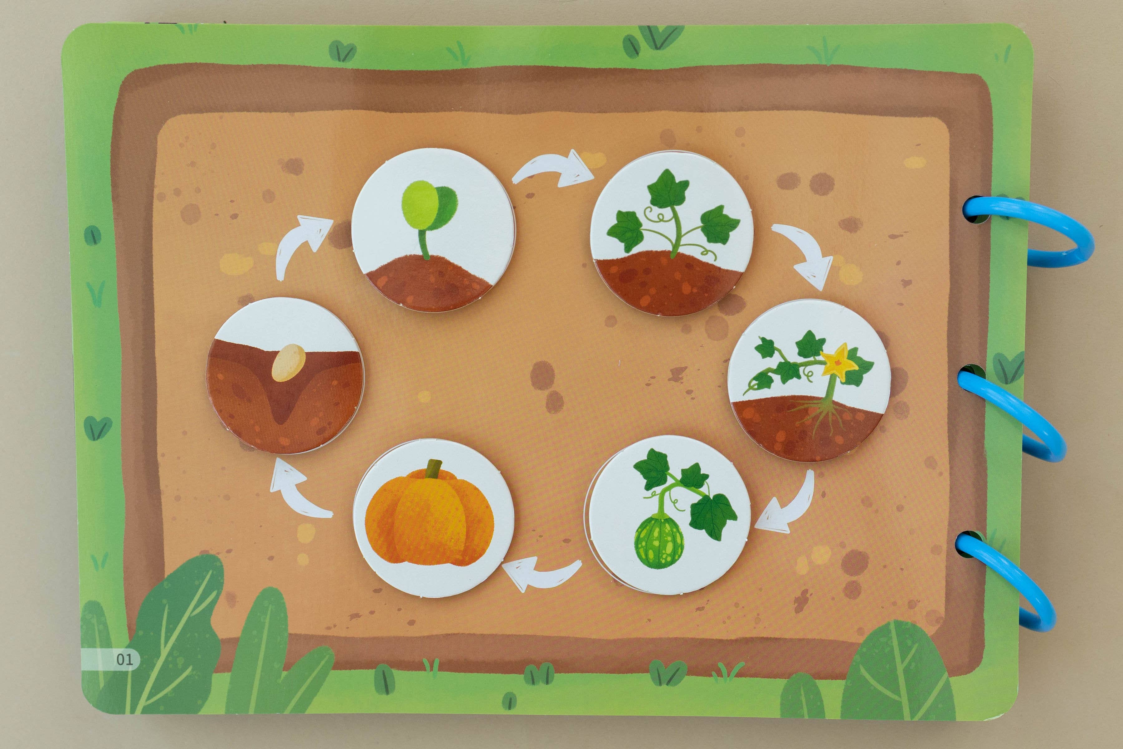 Spirit 'N Sprout - Wholesale Coloring & Activity Book - Kids & Baby - CASE Farm Busy Book for Toddlers - Matching Activity Book 6