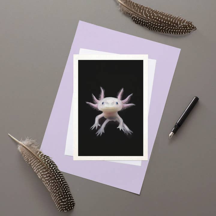 Axolotl Greetings card for wholesale by Hidden Planet