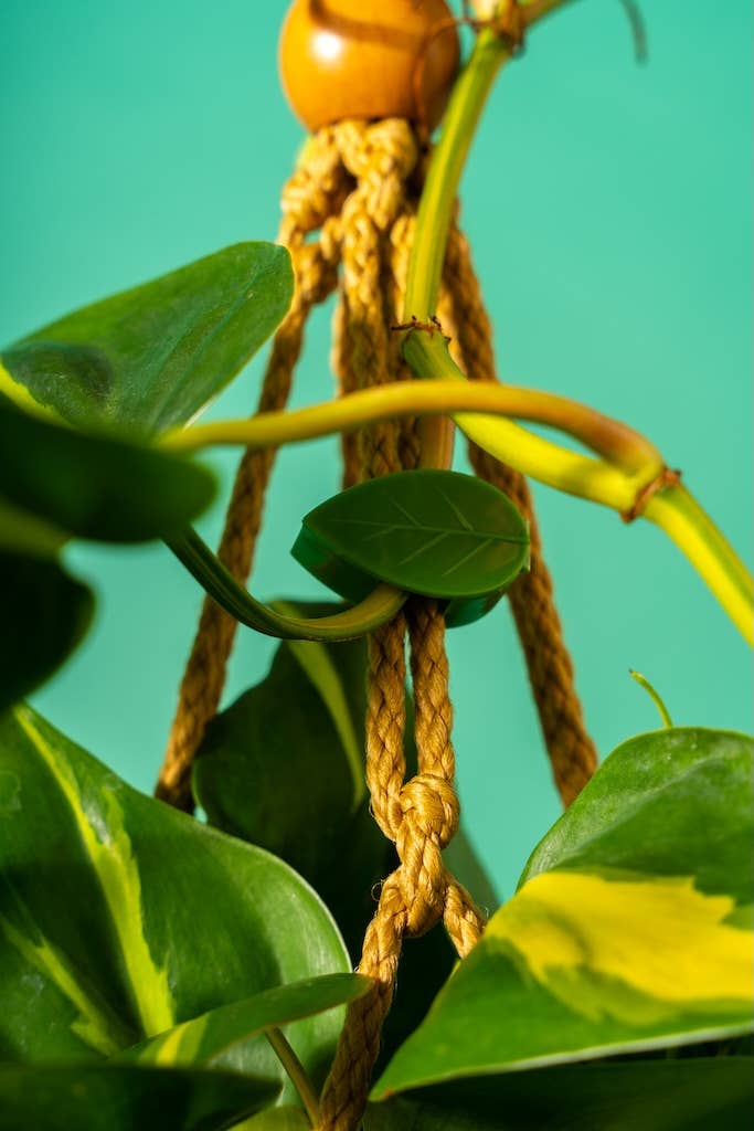 Classy Casita - Wholesale Garden Tool - Plant Clips (Bulk)5