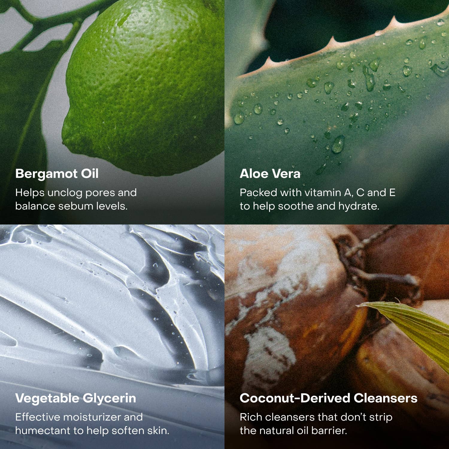 Everist - Wholesale Body Wash/Shower Gel - The Body Wash Concentrate3