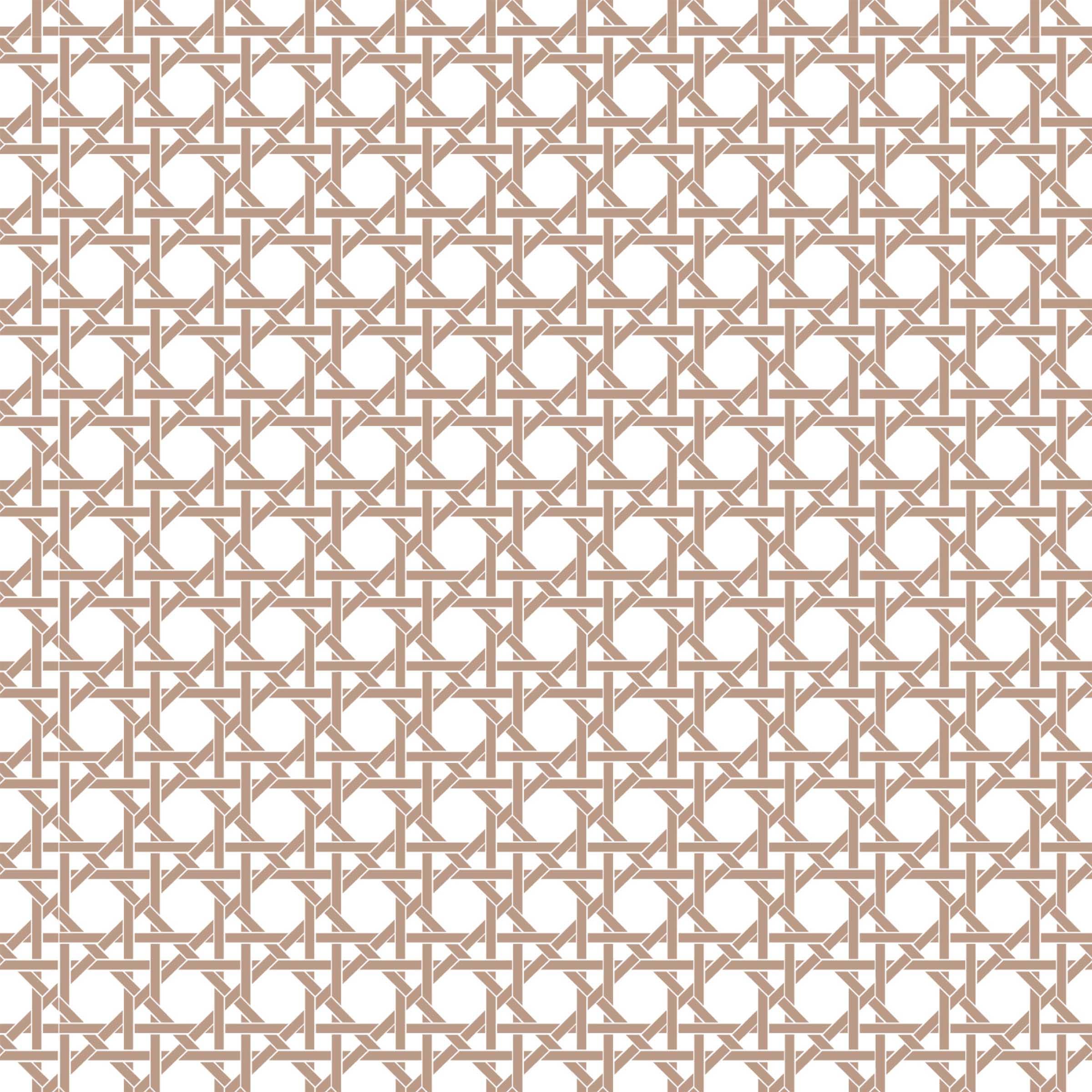 Beau Bottles - Wholesale Wine Gift Bag - Beau Bottles Brown and White Cane - Prosecco Collection4