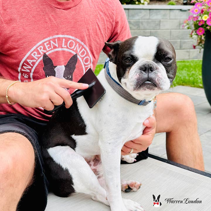 Warren London Dog Products - Wholesale Pet grooming tool – Dog - Gentle Touch Slicker Brush7