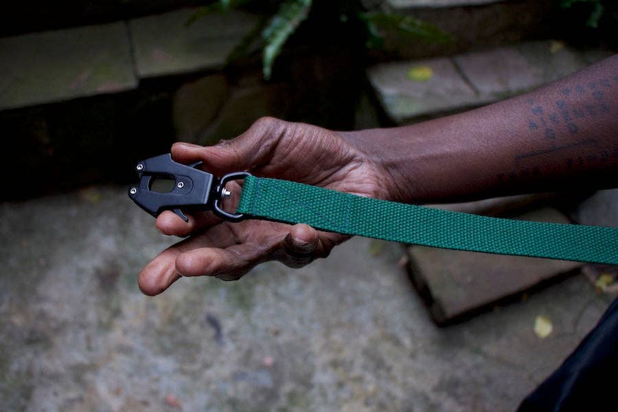 HINDQUARTERS – wholesale Pet leash – Dog – Green dog lead2