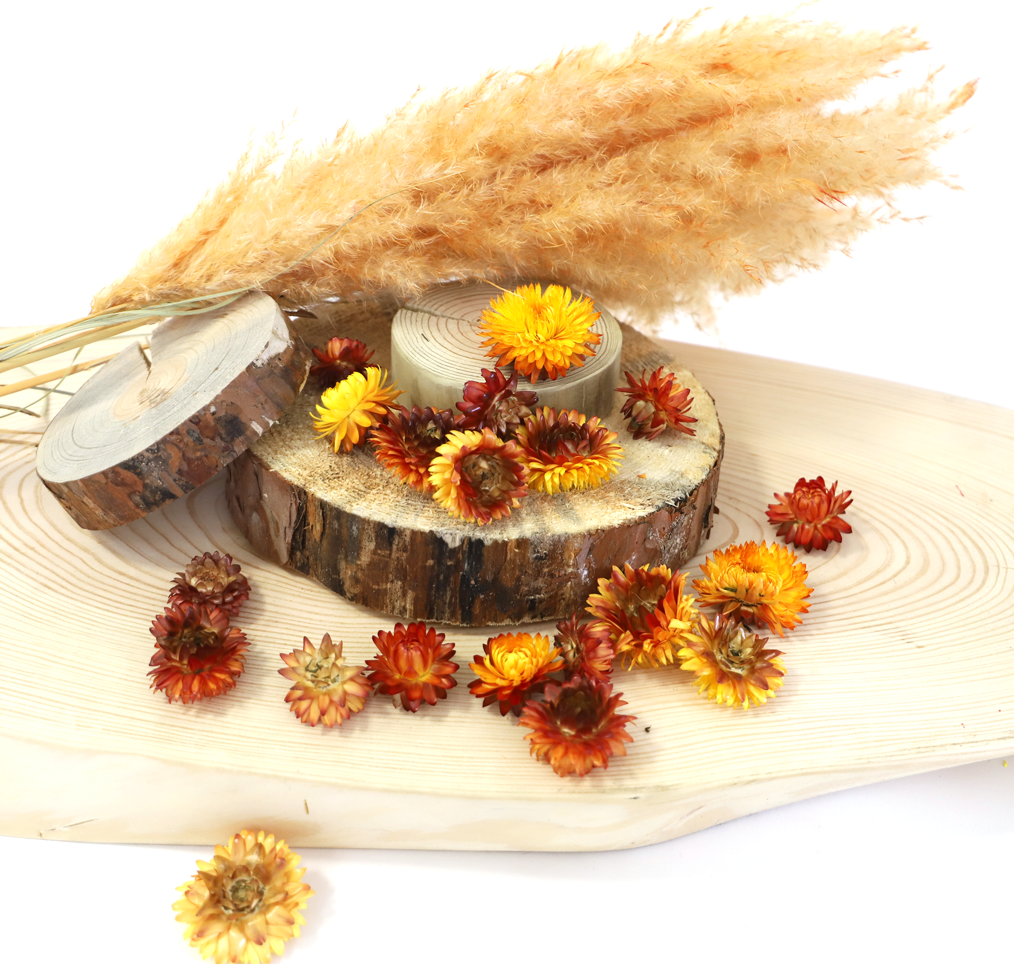 Kunstharz.Art - Vendita all'ingrosso Fiori secchi/pressati - Fiori di paglia essiccati Helichrysum per decorazioni artigianali9