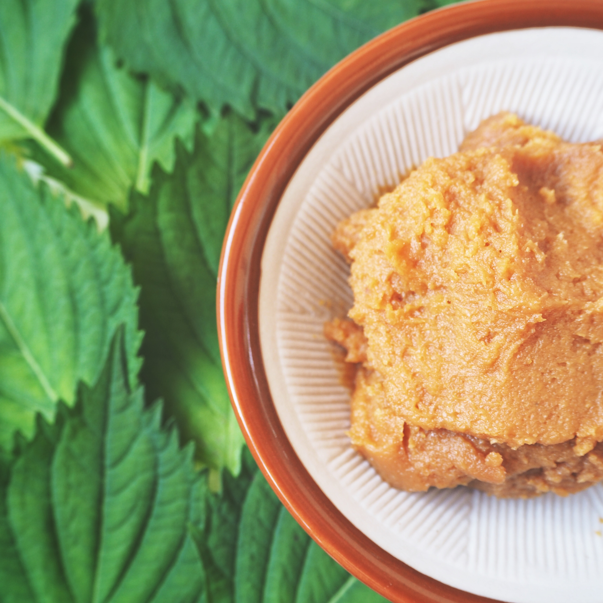 utoppa GmbH - Wholesale Sauce - Hikari Miso Paste Shinshu Yellow 400g1