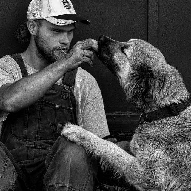 Licker Pickers Toothpicks - Wholesale Toothpick - Licker Pickers Toothpicks 25-Premium Liquor-Infused Pickers16