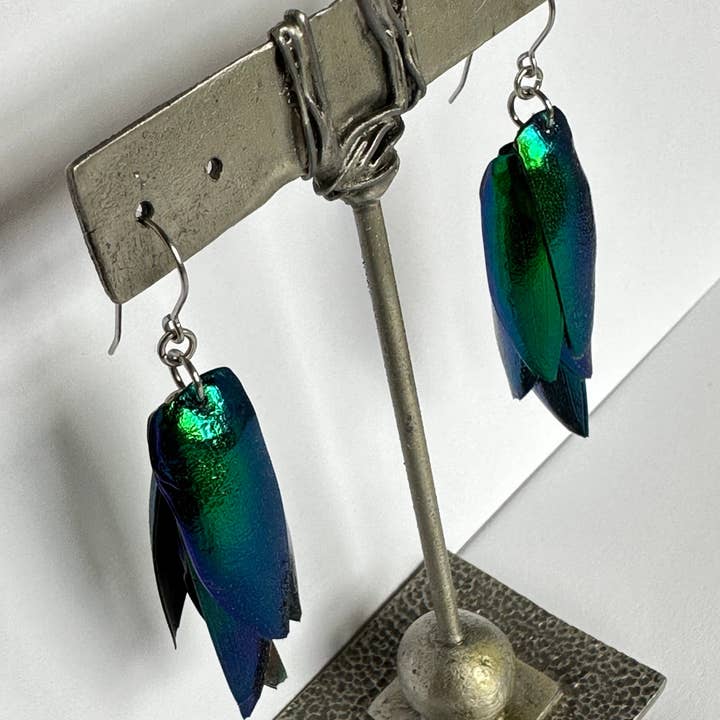 Isms – wholesale Dangle earrings – Green Real Beetle Wing Earrings - Wings of Invasive Elytra Beetles - Surgical Steel