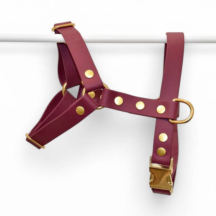Bordeaux Harnas - Biothane voor wholesale door Pompon & Pets