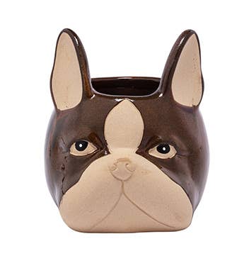 Napco - Wholesale Plant Pot - Planter, Bulldog Face Item # 22406