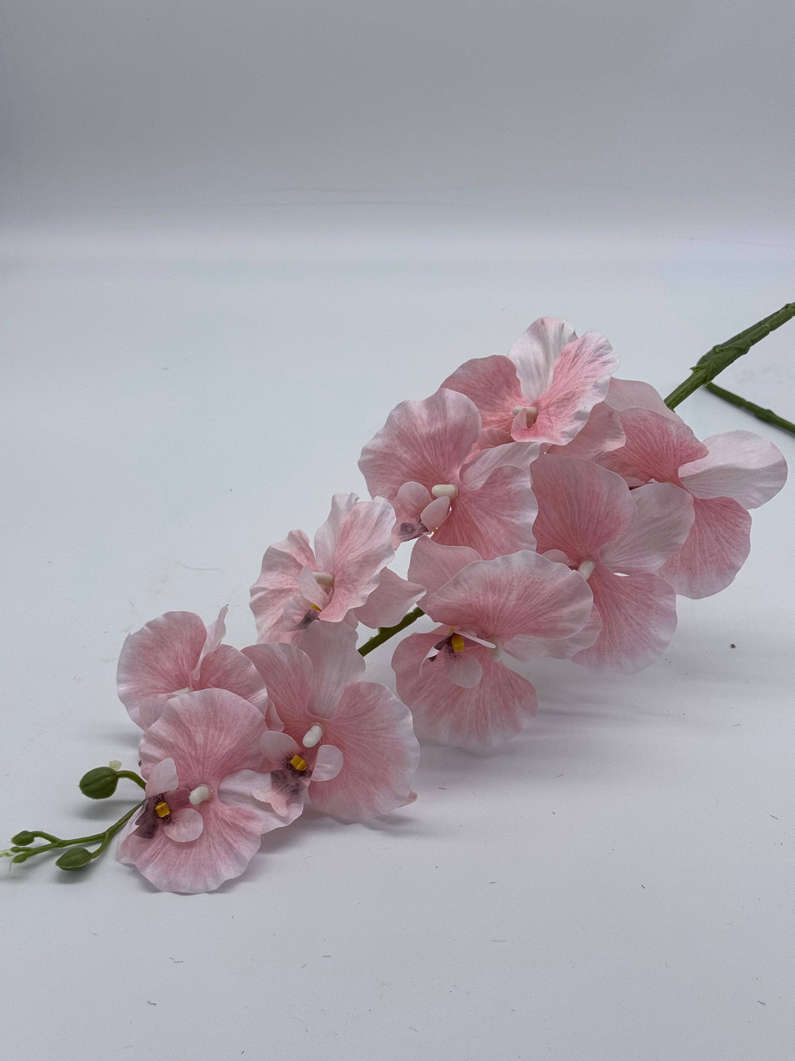 JKF & Co Pty Ltd – Engroshandel Kunstige blomster – Orkidé Silke4