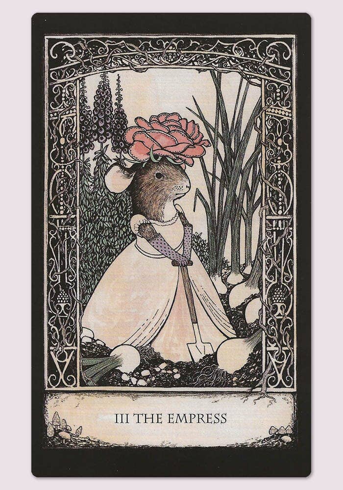 Cardshouse – Cartas de tarô por atacado – Conjunto de Baralho e Livro Tarot of Tales - Cardshouse7