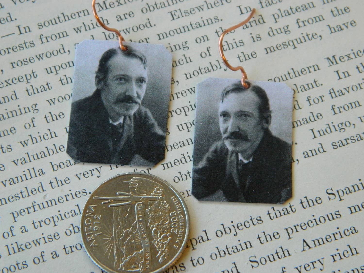 Sarah Wood Studio - Wholesale Dangle Earrings - Earrings Robert Louis Stevenson1