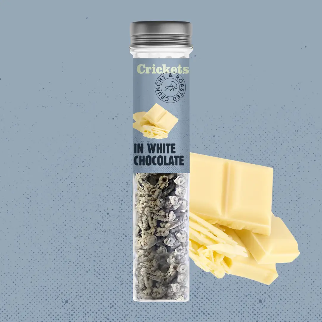 sens – Großhandel Protein-/Superfood-Pulver – Essbare Grillen im Tubus6