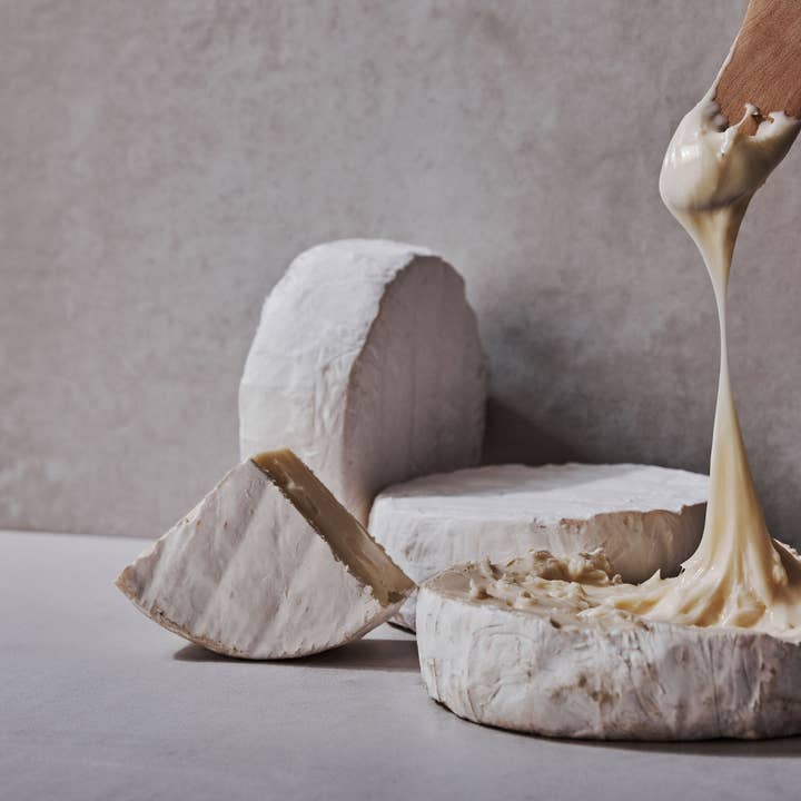 Sweet Grass Dairy - Wholesale Cheese - Green Hill3