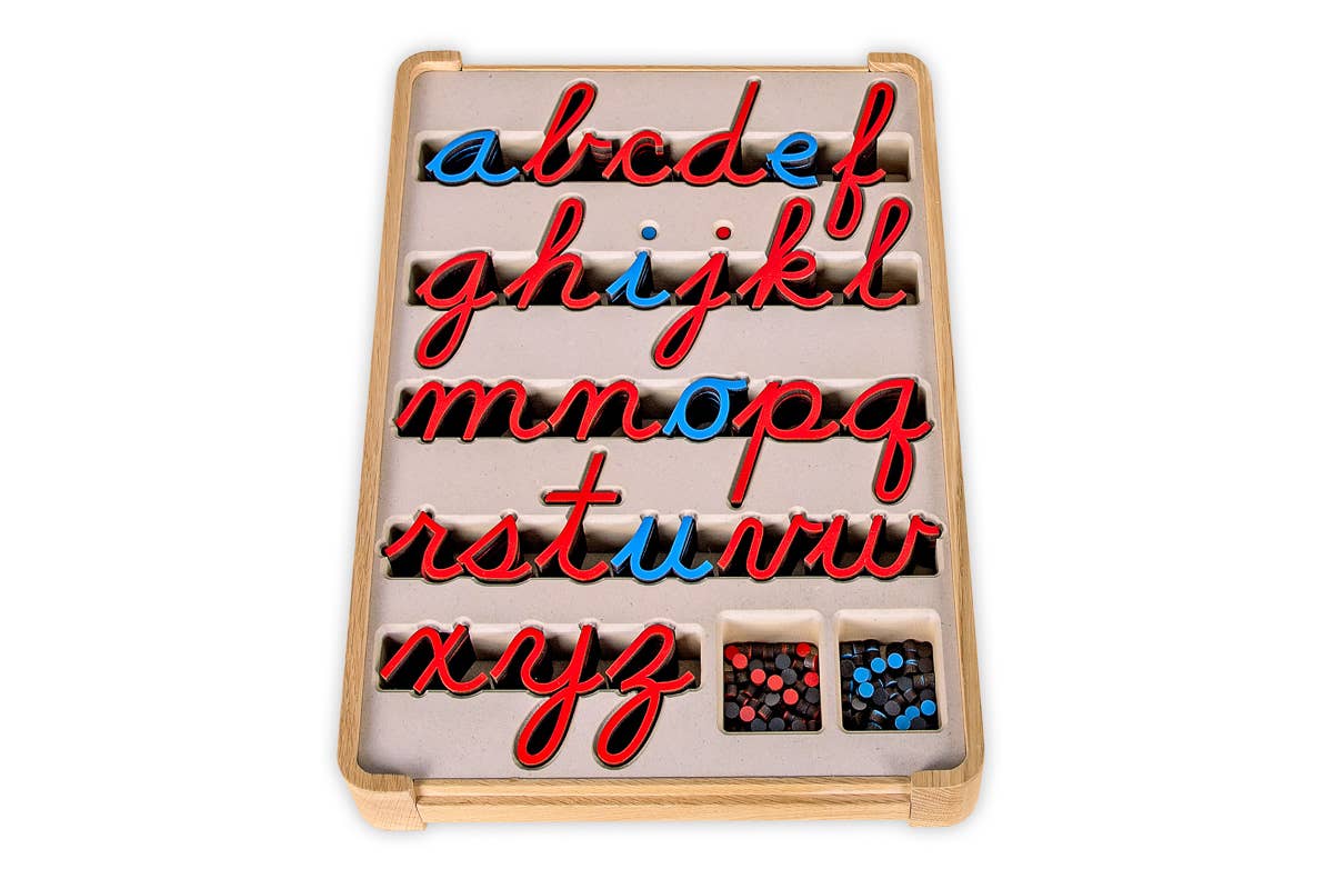 3R KIDS - Wholesale Wood Toy - Kids - "D'Nealian Cursive Movable Alphabet"2
