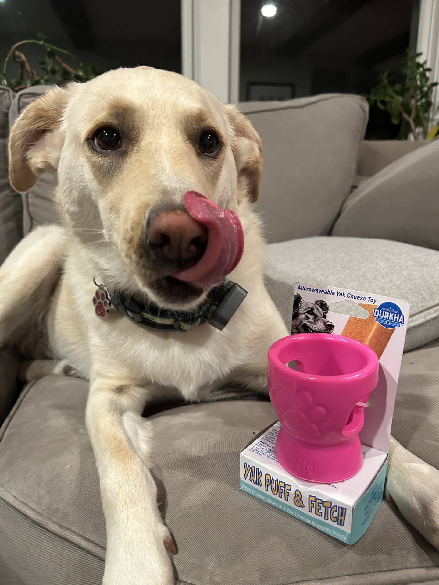 Durkha Dog Chew - Wholesale Pet Chew Toy - Dog - Durkha Puff & Fetch Toy - Microwaveable Yak Cheese Toy7