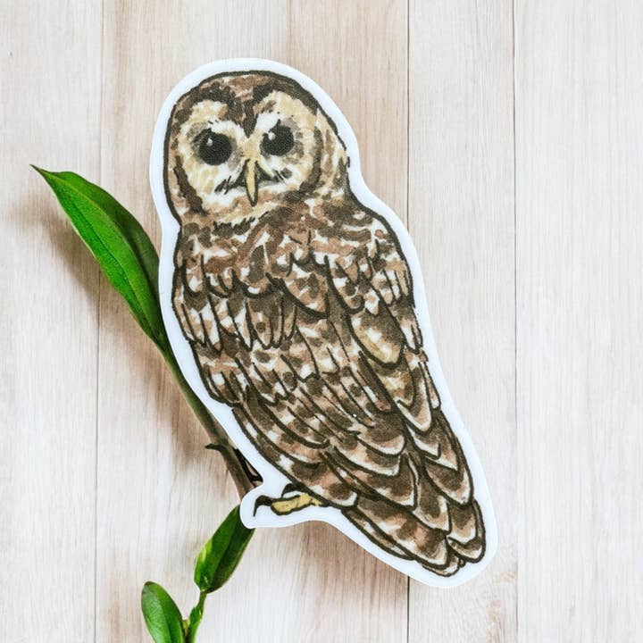 Nordlige plettet ugle klistermærke for engroshandel hos Anagram Press