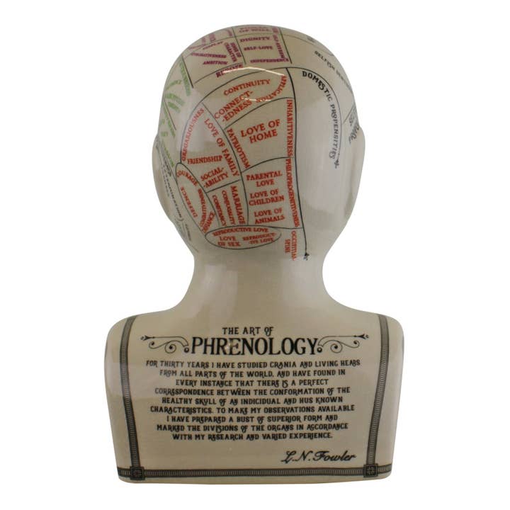 Natural Multi Large Ceramic Crackle Phrenology Head for wholesale on Faire