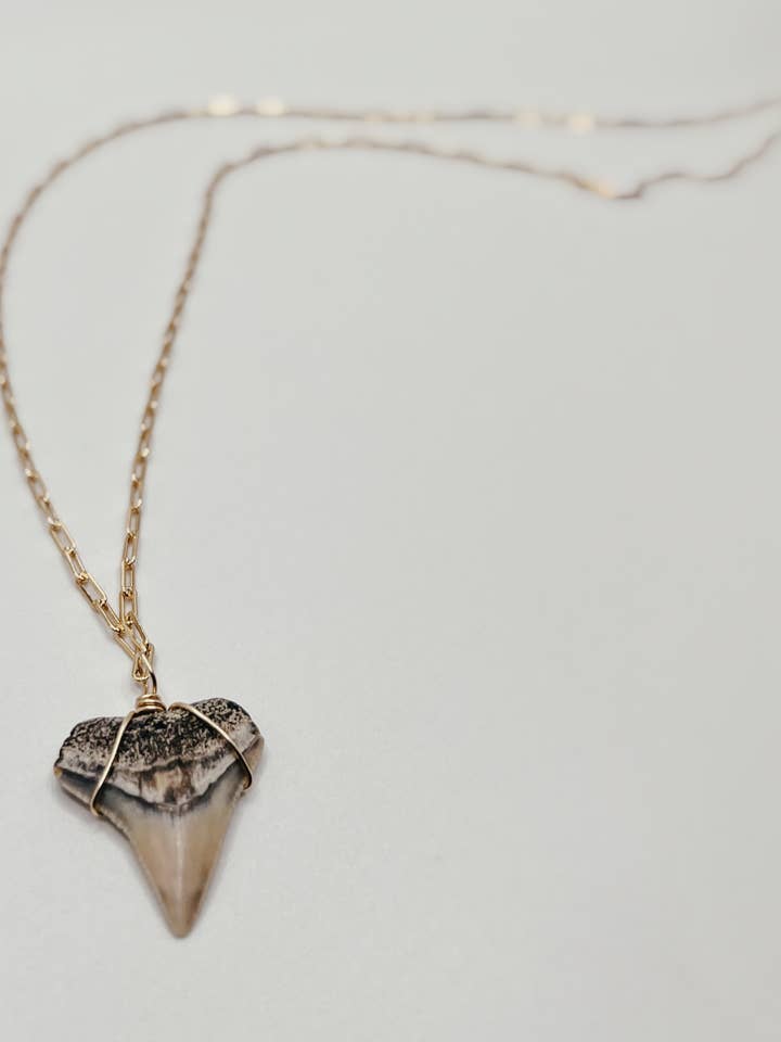Mini collana a forma di dente di squalo con catena a fermaglio in oro 18 carati per la vendita all'ingrosso da parte di Seastainably Made