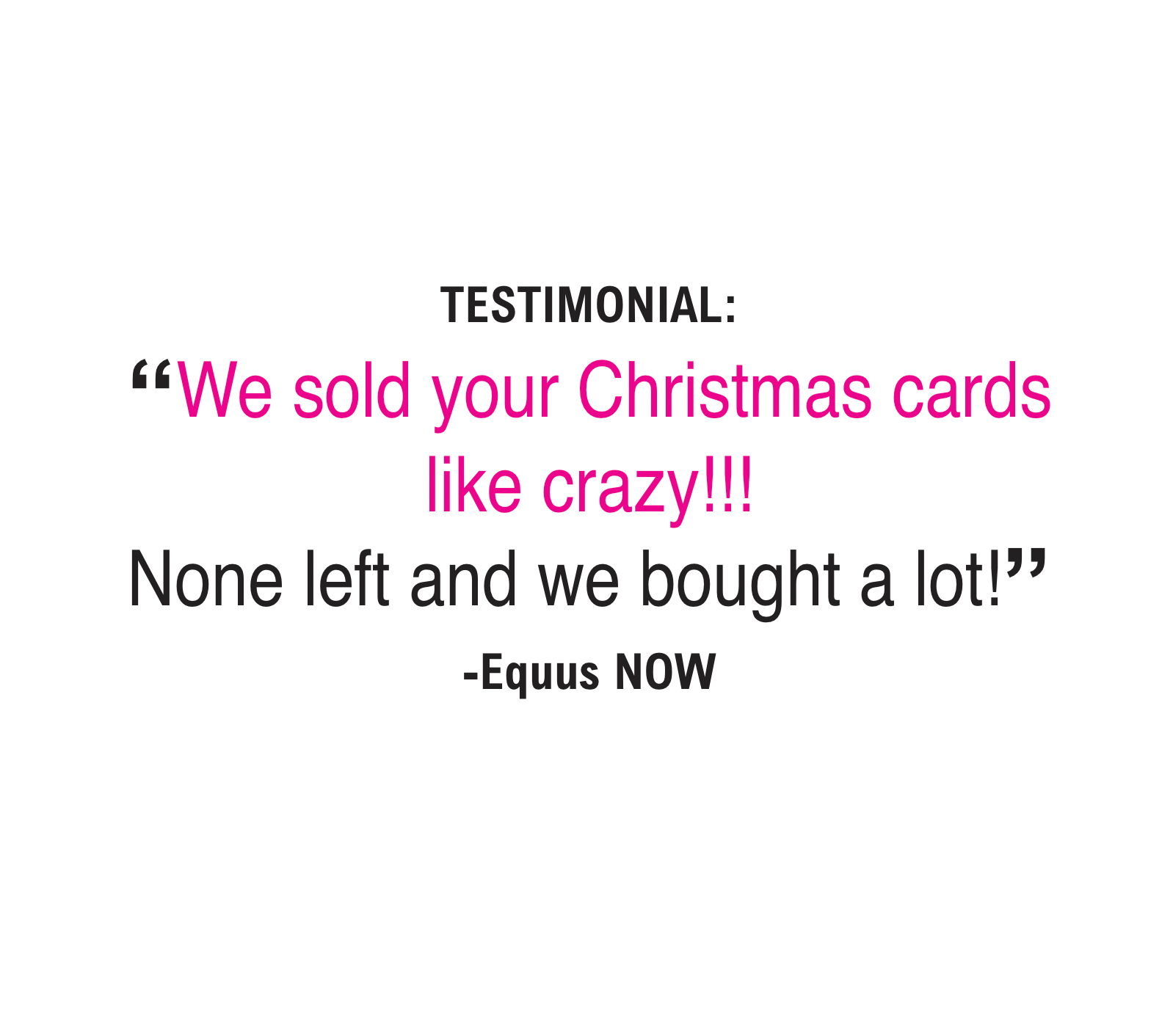 Horse Hollow Press - Wholesale Christmas Card - Horse Christmas Card / Racehorse TB / Holiday Greeting Card
2