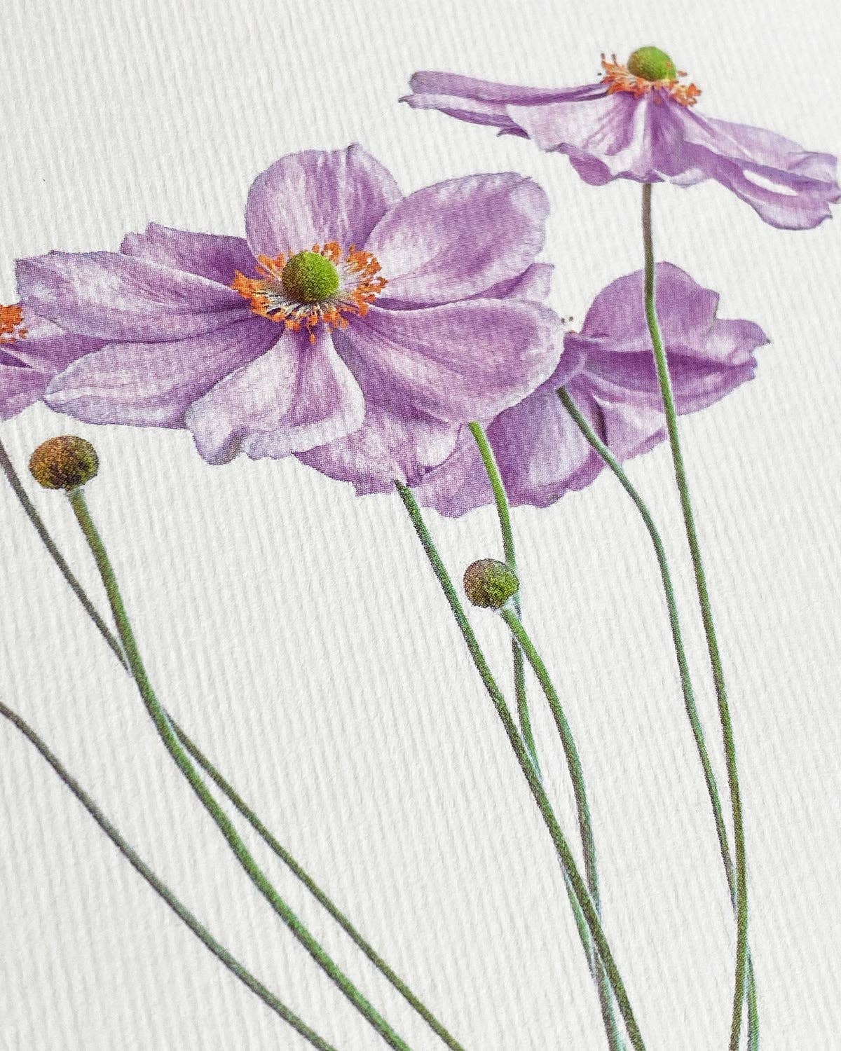 Canonbury Press - Wholesale Everyday Greeting Card - Anemone Greeting Card | Birthday Card | Luxury Cards3