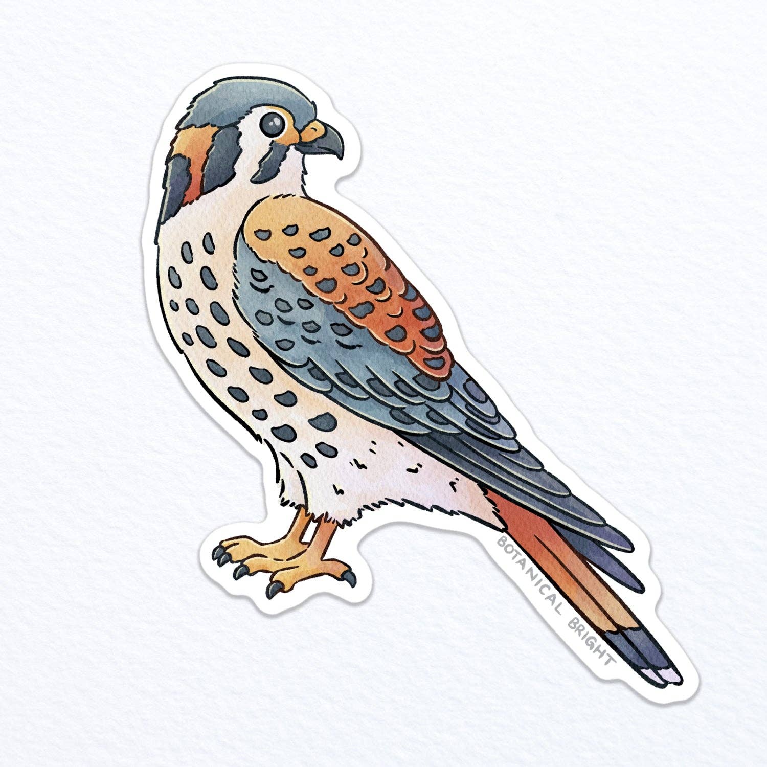 Botanical Bright - Wholesale Sticker - Kestrel Waterproof Vinyl Sticker0