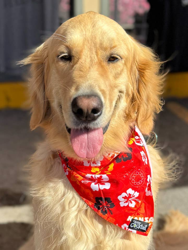 KC Chiefs Blomstret Hundetørklæde for engroshandel hos Team Cocktail