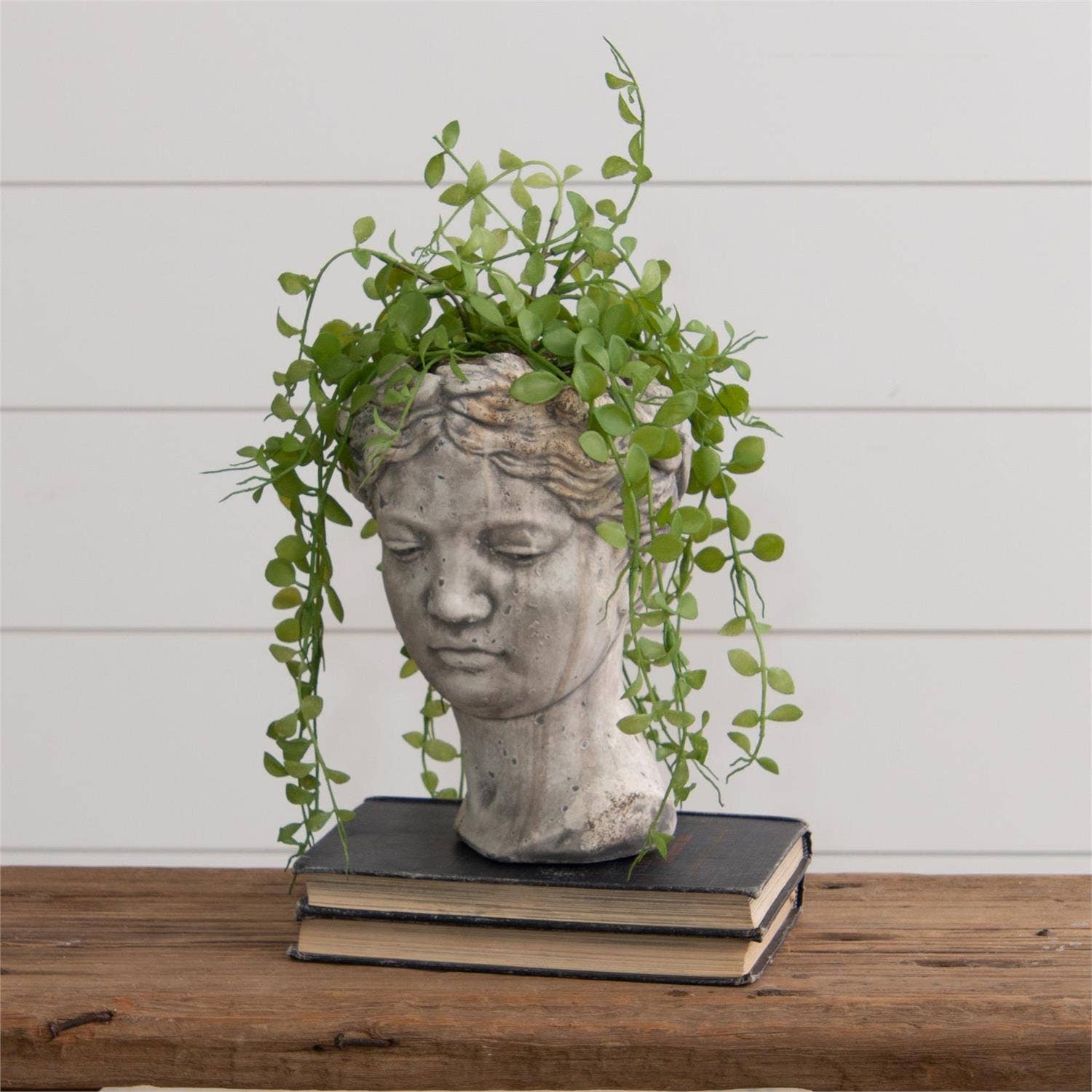 Audrey's Home & Gift - Wholesale Plant Pot - Cement Garden Head Planter (PC)3