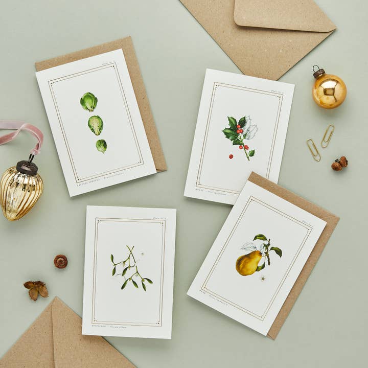Catherine Lewis Design - Wholesale Christmas Card - Box of 8 Christmas Cards - Botanist Archive: Festive Edition4