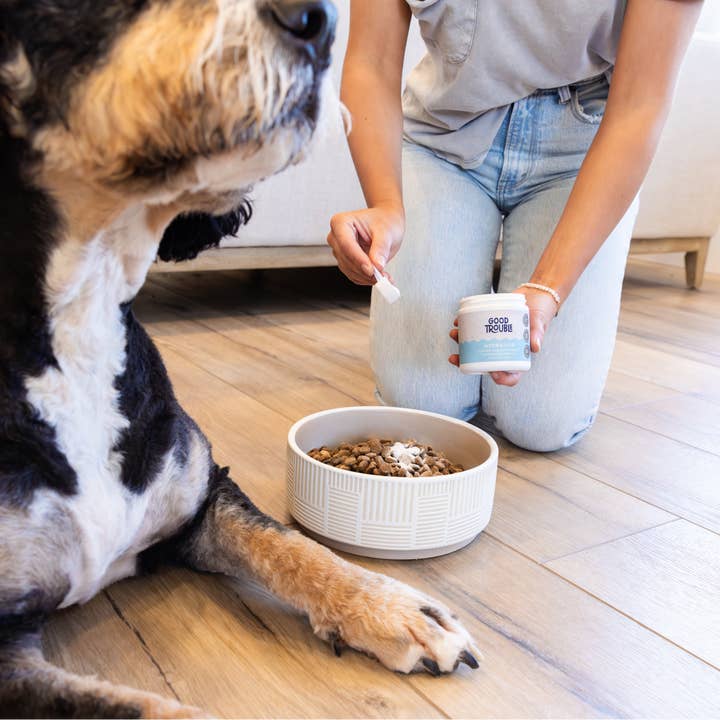 Good Trouble Pets - Wholesale Pet Supplement - Dog - Dog Hydration Powder Supplement