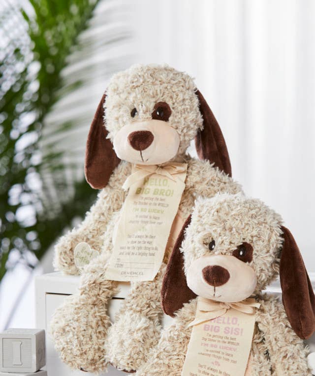 DEMDACO - Wholesale Stuffed/Plush Toy - Kids & Baby - Gift from the New Kid: Big Brother2