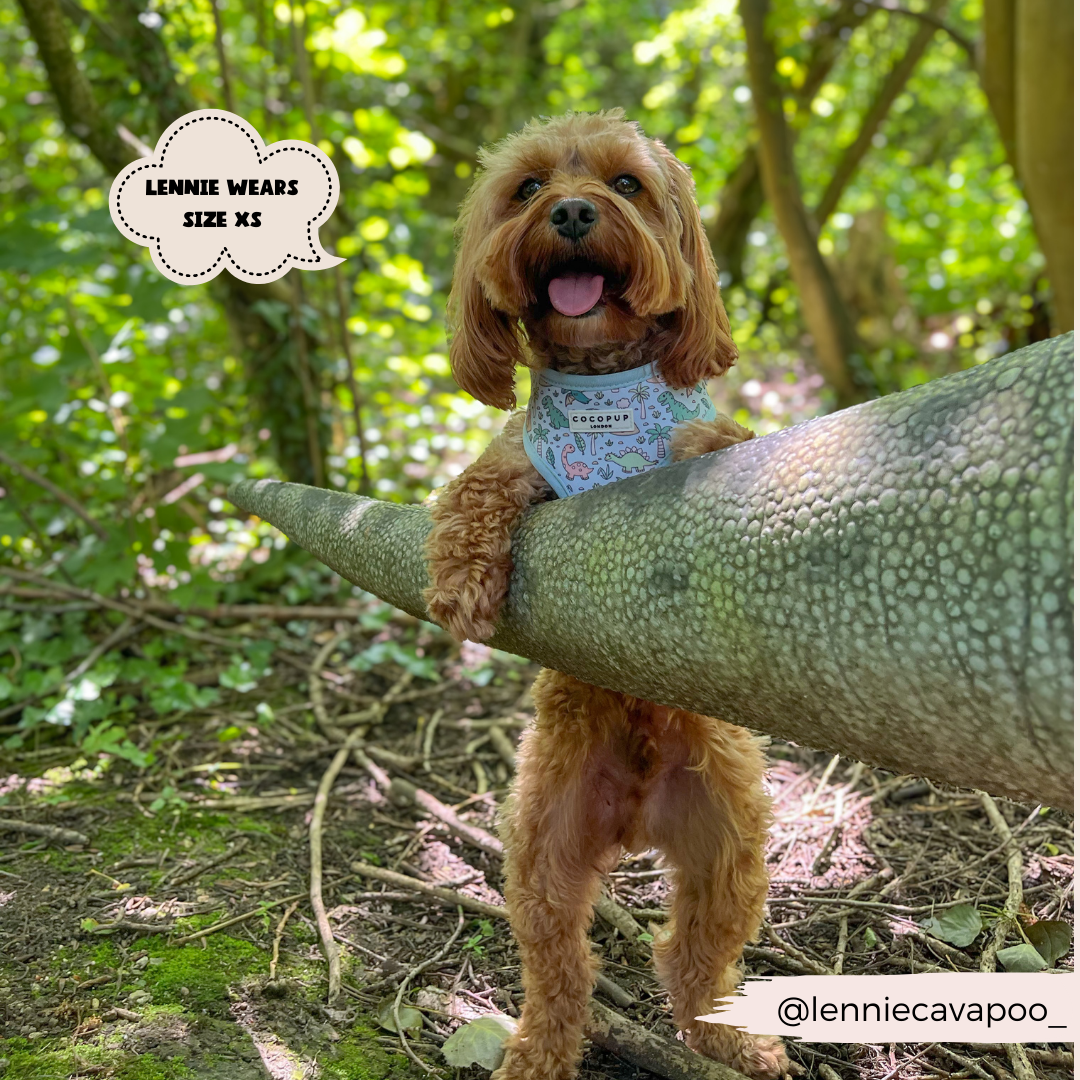 Cocopup London - Venta al por mayor Arnés - Perros - Arnés ajustable para cuello Dinopaws8