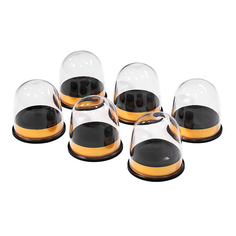 01living Ltd - Wholesale Retailer Display - Food & Drink - Tea Aroma Smell Cup - Loose Leaf Tea Display 0