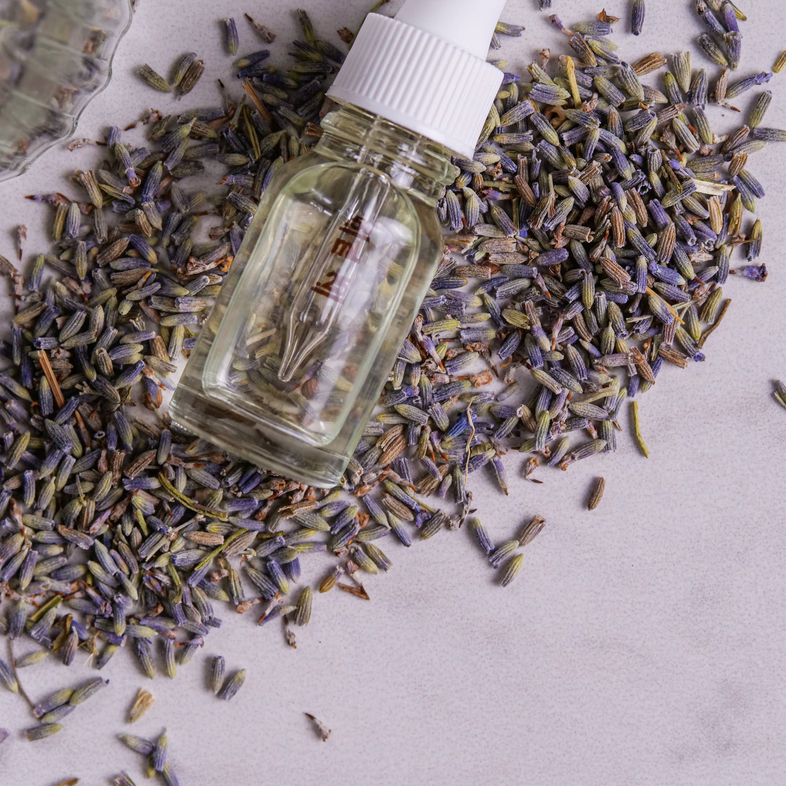 Better Shea Butter - Vente Thés santé/détox - Fleurs de lavande pour thés, savons et artisanat (113 g)3