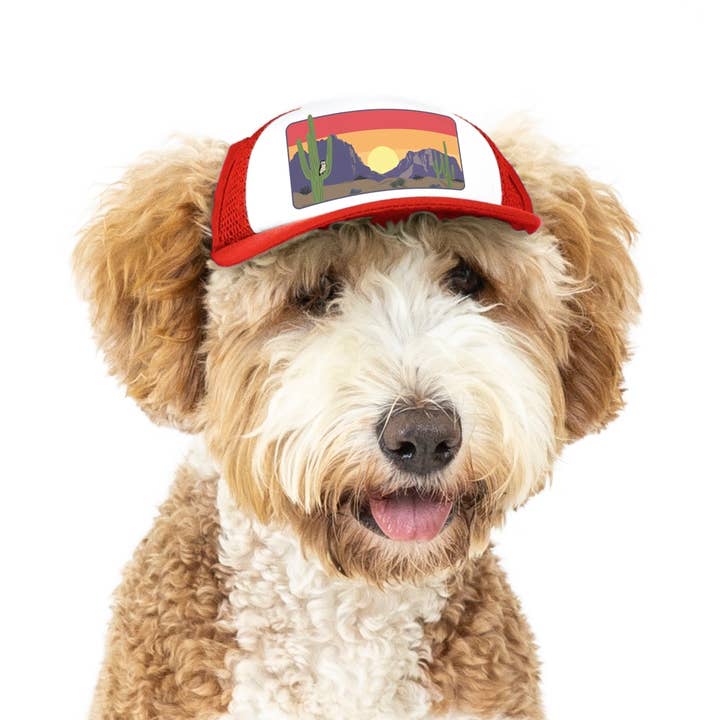PupLid - Wholesale Pet Hat - Dog - Desert Owl Standard or Namedrop | Trucker Hat for Dogs20