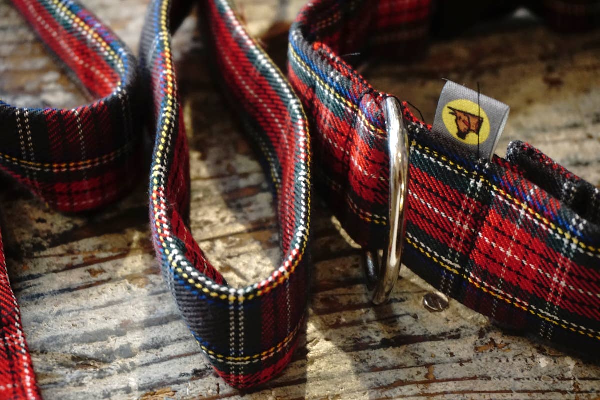 hundsfutter - Wholesale Pet Collar - Dog - Collar, leash, and bag holder set.7