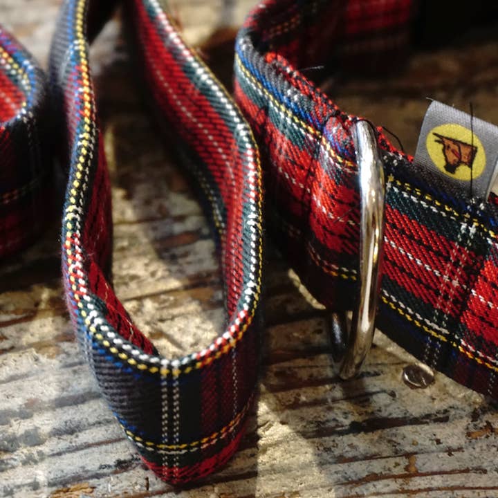 hundsfutter - Wholesale Pet Collar - Dog - Collar, leash, and bag holder set.7