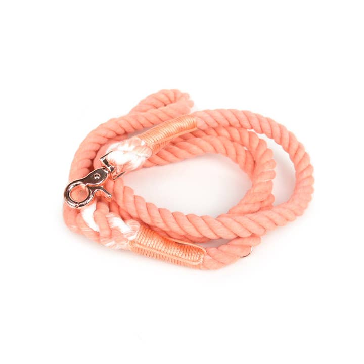 Hund Rope snor//Tangerine for engroshandel hos Holly and Co Australia Pty Ltd