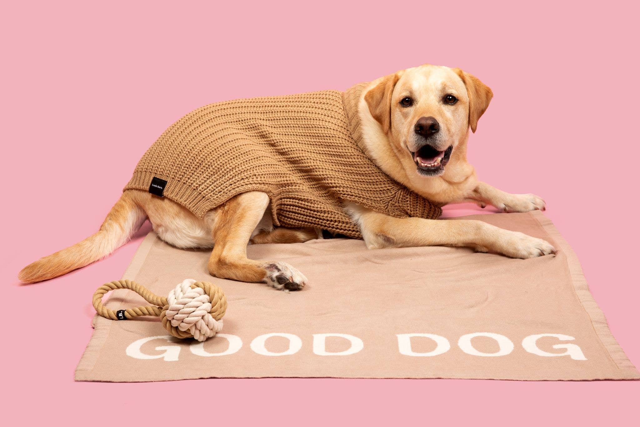 Louis Barx - Vente Couverture – chien - Couverture douillette pour chien0