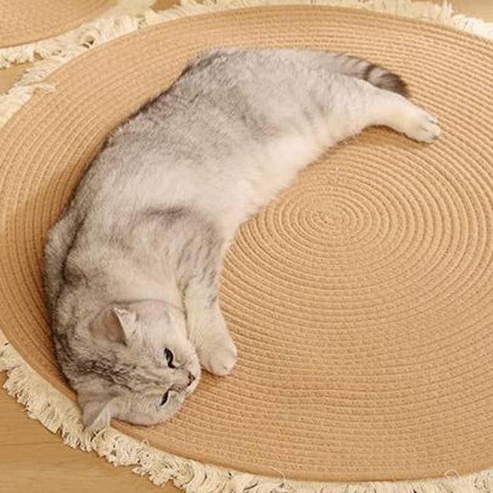 Anti-Slip Cat Mat with Claw Sharpening Surface_CWMM6562 for wholesale by PAWPAWwholesale