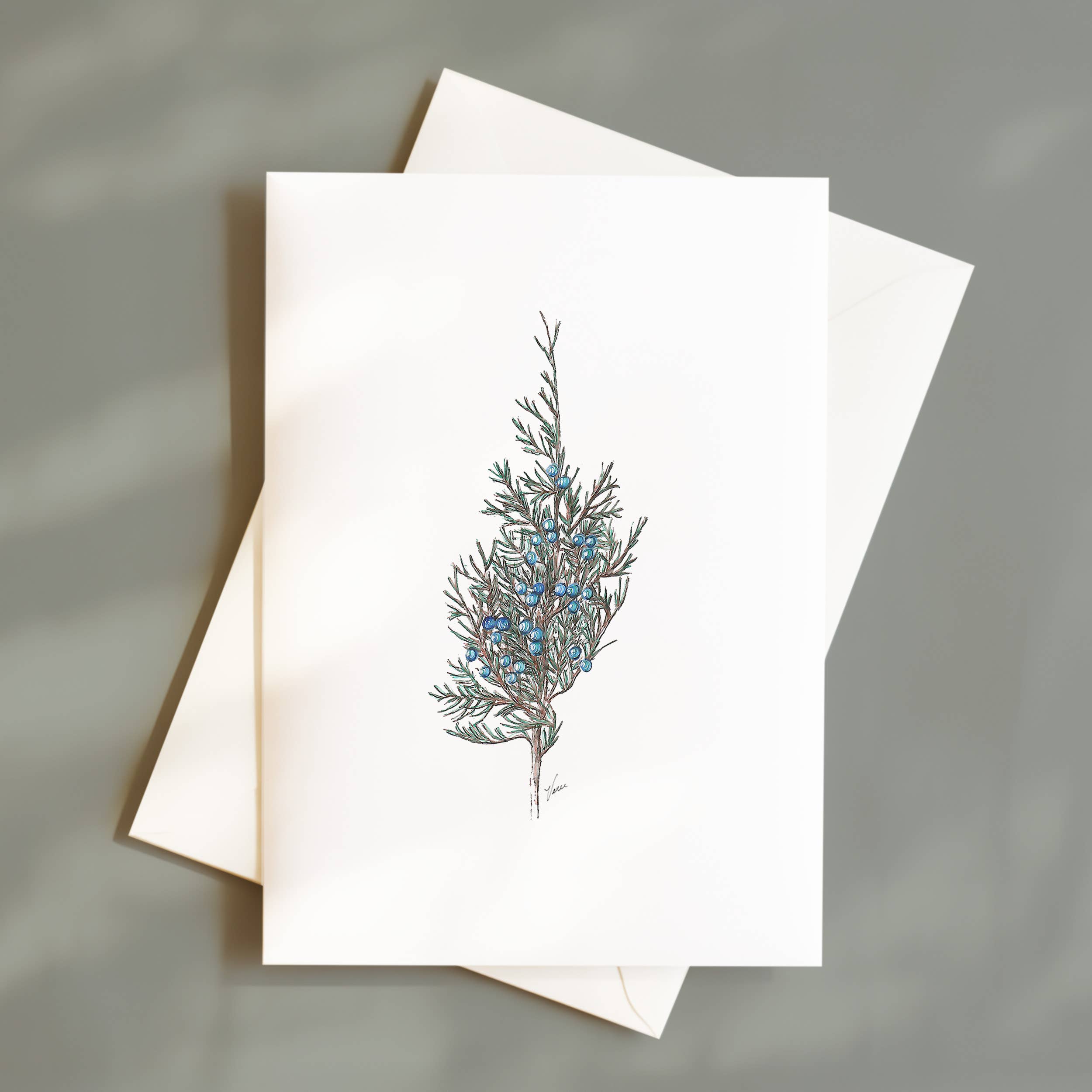 Vanee.ink - Wholesale Stationery/Notecard Set - Juniper Notecard0