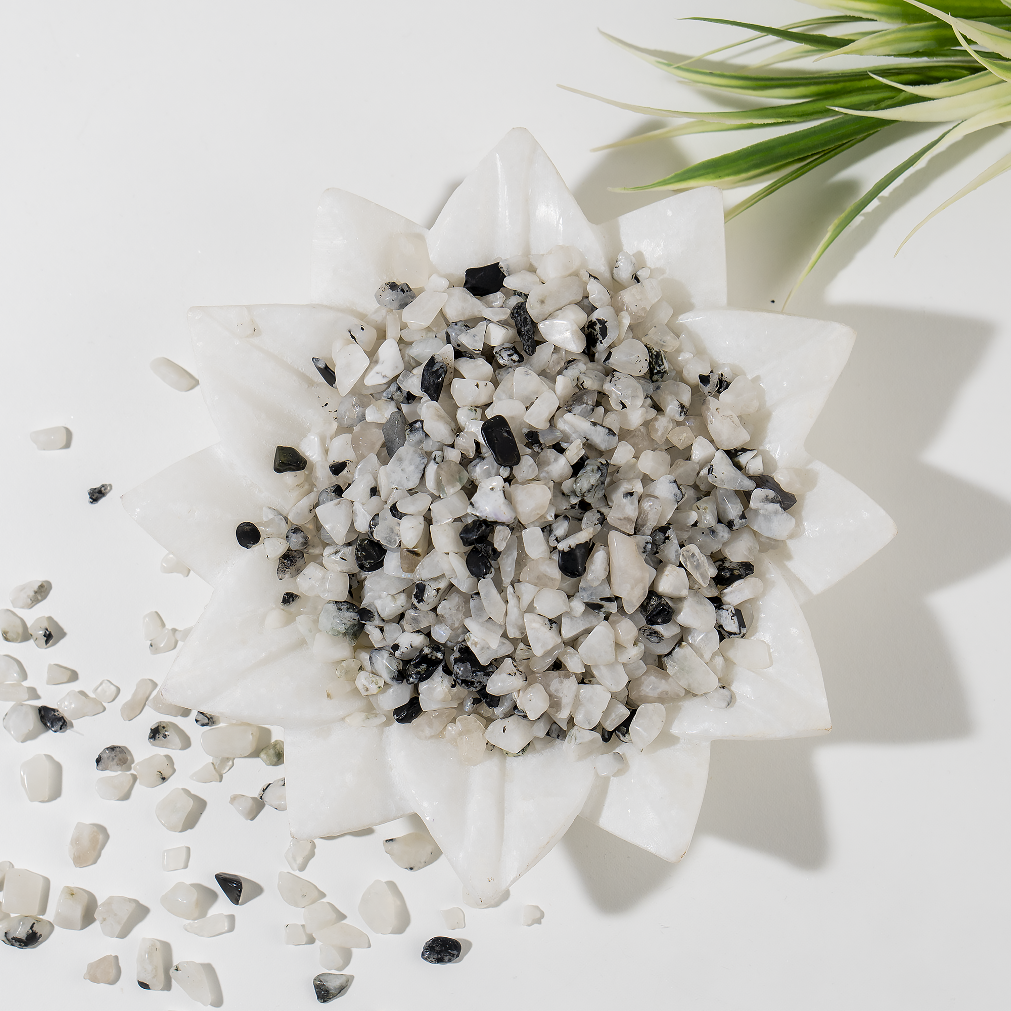 Soothing Crystals - Wholesale Spiritual Stone/Crystal - 100g Healing Gemstone Chips | Rainbow Moonstone | Raw Chips5