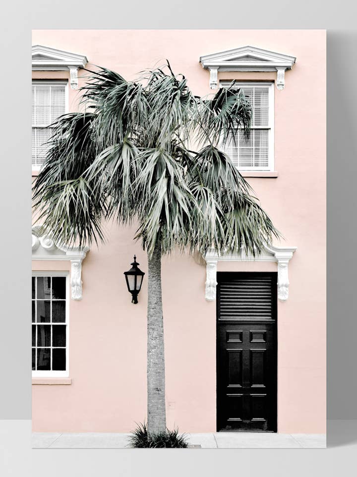 Coastal Palm Doory-tryk. Blush Hamptons vægkunstplakat for engroshandel hos PRINT AND PROPER