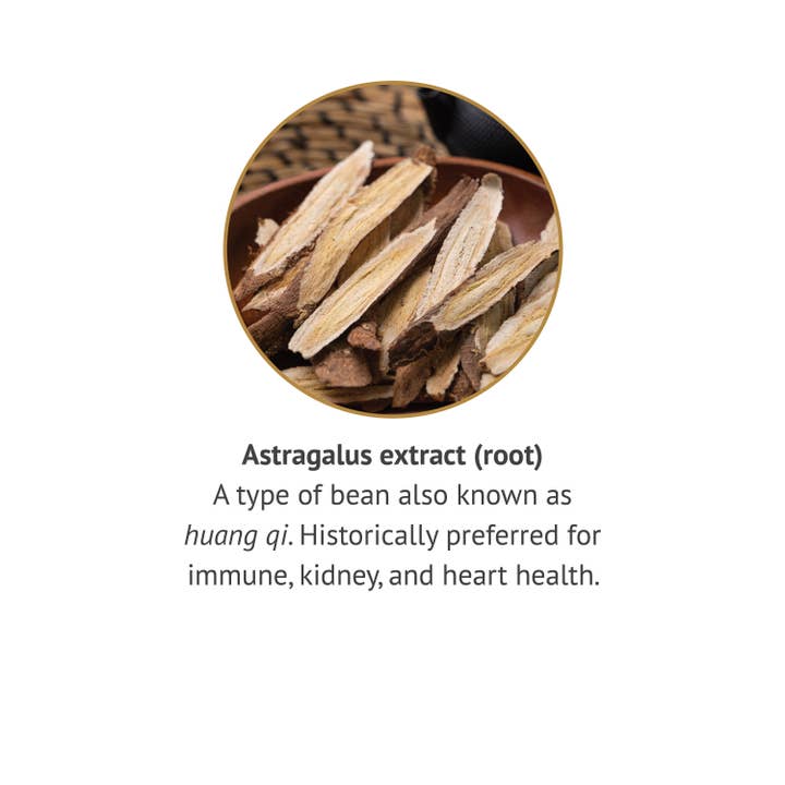 Botanic Choice - Wholesale Essential Oil - Botanic Choice Astragalus Alcohol Free Liquid Extract - 1 oz
