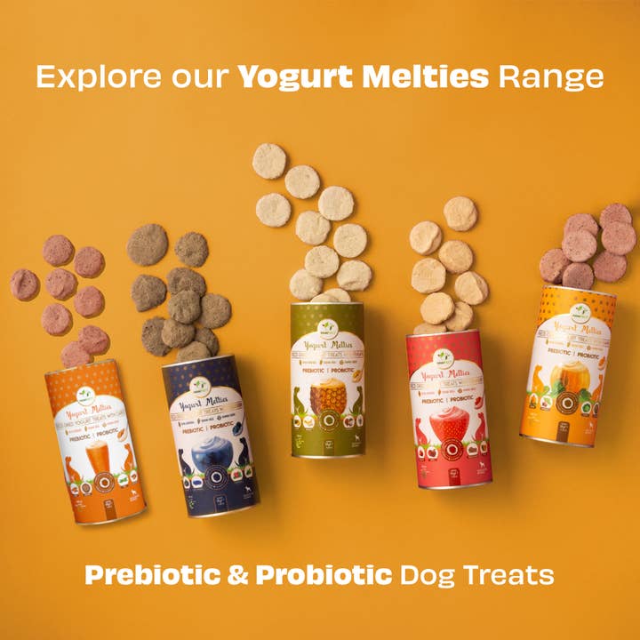 Pawfect Foods - Wholesale Pet Treats - Dog - Pawfect Yogurt Melties Pre and Probiotic Dog Treats with Pumpkin, Beetroot, Cabbage & Fennel Seeds | Healthy Gut | Low Calories | Grain & Gluten Free | Reward or Training Treats (38g/1.34oz)6