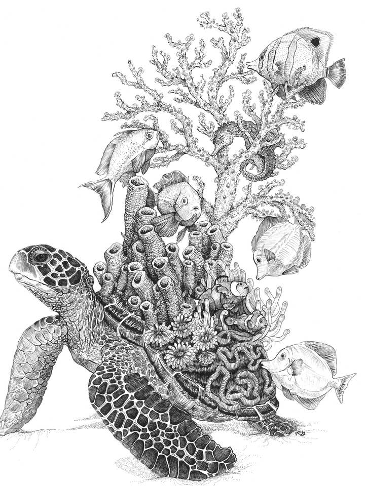 Sea Turtle Reef Art Print for wholesale by Megan Gray Art