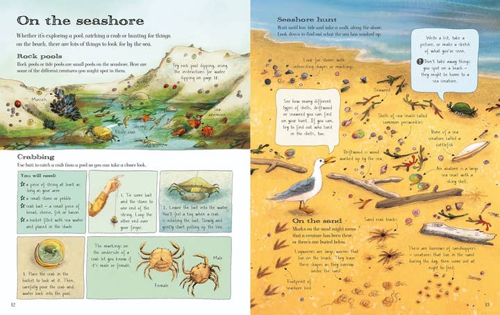 HarperCollins - Wholesale Nature & Outdoors Book - Usborne Outdoor Book : Emily Bone1