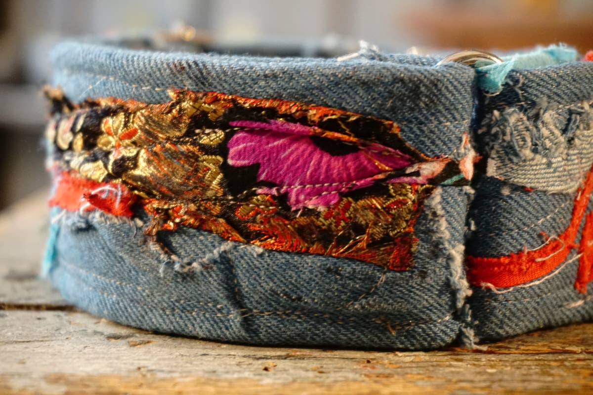 hundsfutter - Wholesale Pet Collar - Dog - “Easy” anti-escape dog collar - mixed media jeans15